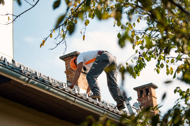 Best Best Roofing Contractors  in Bridgeport, NE