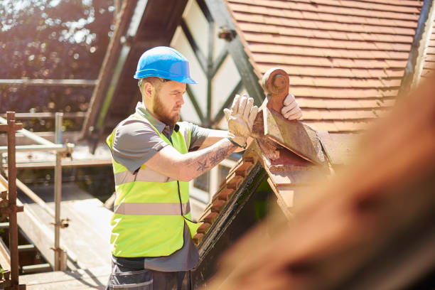 Best Storm Damage Roof Repair  in Bridgeport, NE